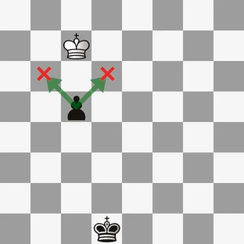 King illegal movement